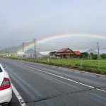 今年も大盛況！　津和野来い　恋　鯉　ま　つ　り　だ　！